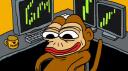 Daily TRADING CO. India Banner