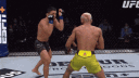 UFC Official Server server banner