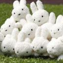 𝓪𝓿𝓪𝓬𝓪𝓭𝓲 Banner