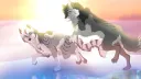 Wolf Tales Discord server banner