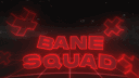 BaneSquad banner
