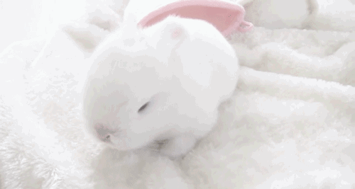 ୨୧ 𓂃 ᑲᥙᥒᥒі᥎ᥱrsᥱ 𓏵 ૮꒰ ˶• ༝ •˶꒱ა ♡ Discord server banner