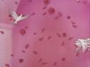 𝒞   ღ   Cupid's Chapel  .ᐟ  ‹𝟹 Banner
