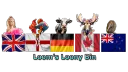 Loom's Loony Bin banner