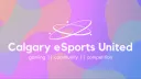 Calgary eSports United banner