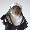 Rats! Banner