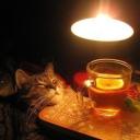 ｂｌｉｓｓ至福 Banner