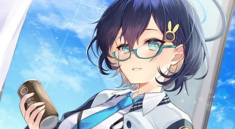 Navis banner