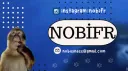 Amazon Ormanı banner