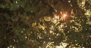 Cosy Picnic Cove 🧺🌾🌻 banner