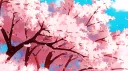 ˚₊ ໒ 🌸 ♡﹒𝗦𝗶𝘁𝘂𝗿𝗶𝘁𝘂 ₊꒷੭ server banner