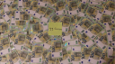 The Mann Cave | Shitposting & Men Discord server banner