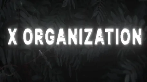 PROF ORGANIZATION banner
