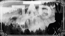 The Harem LLC server banner