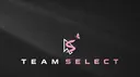 Team Select banner
