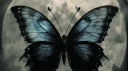 BUTTERFLY banner
