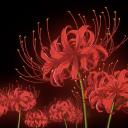 𝕾𝖚𝖇𝖑𝖎𝖒𝖎𝖓𝖆𝖑 𝕷𝖔𝖛𝖊 Banner