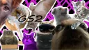 Floof_World banner