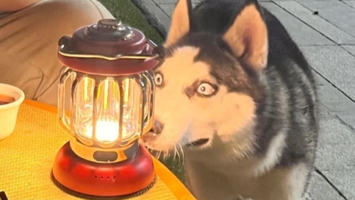 Twoof Discord server banner