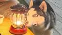 Twoof Discord server banner