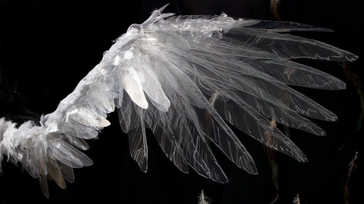 veil. Discord server banner