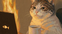 Dyethrow PIXEL Banner