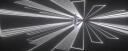 Lifeform Banner
