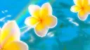 kitsch ✩ banner