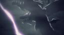 Hydra Project Banner