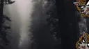 The Commune banner