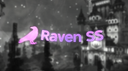 Raven SS Community Banner