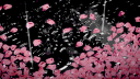 ᲼᲼ banner