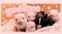 Goddess /* รับกลาง 3lnw banner