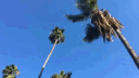 Ben Karmelo Discord server banner
