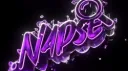 Napse.ac  Banner