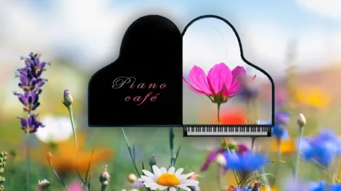 Piano Café banner