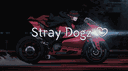 Stray dogz ♡ | Social • VC • Gaming • PFP • Banners • Anime • Emotes • Chill • Semi-Toxic banner