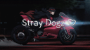 Stray dogz ♡ | Social • VC ... banner