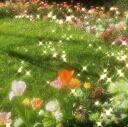 mellow meadow * ˚ Banner