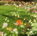 mellow meadow * ˚🌿 banner