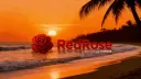 RedRose™ banner