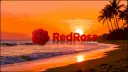 RedRose™ banner