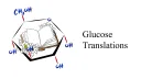 Glucose Translations banner