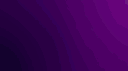 ZuiderStad™ banner
