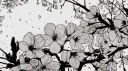 /tomo banner