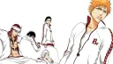 Vermilion banner