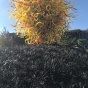 Shards of Fallen Angels Banner