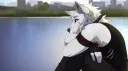 banner