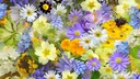 Please Be Nice Discord server banner