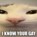 KORNS KITTIES. (call me daddy) Banner